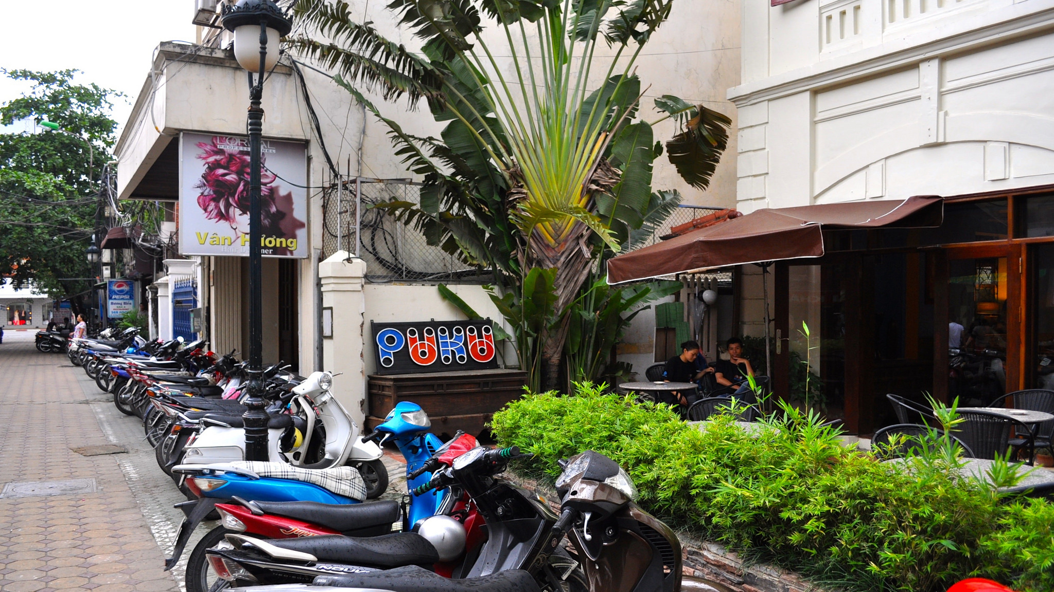 Puku Cafe & Sports Bar
